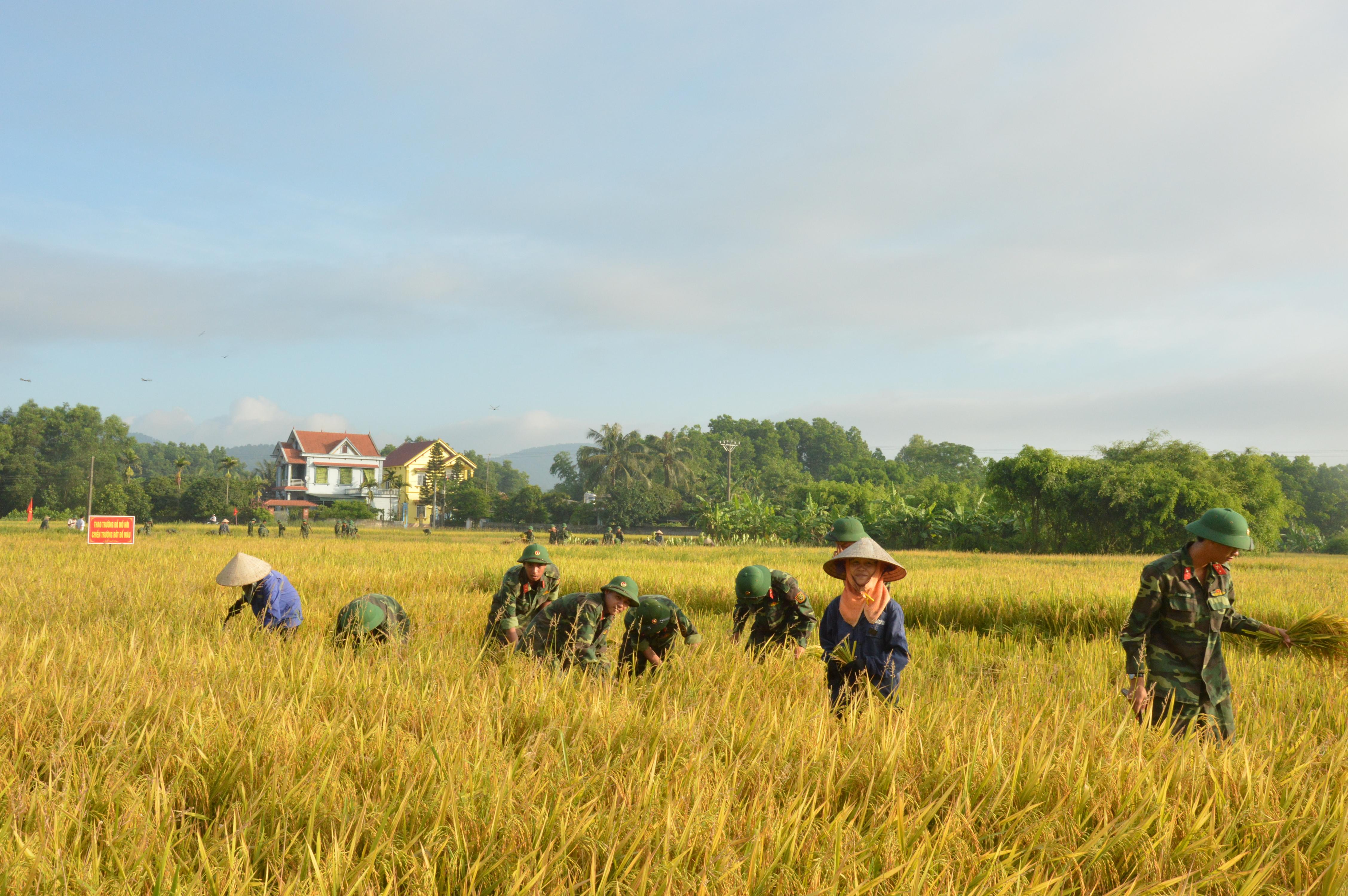 Niềm vui xuống đồng giúp dân