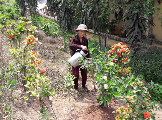 “Ông lão gàn” chăm quét rác, trồng hoa…
