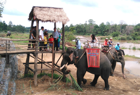 Giải pháp phát triển du lịch bền vững vùng Tây Nguyên
