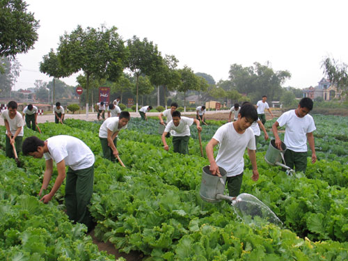 Xây dựng đội ngũ cán bộ hậu cần đáp ứng tốt yêu cầu nhiệm vụ