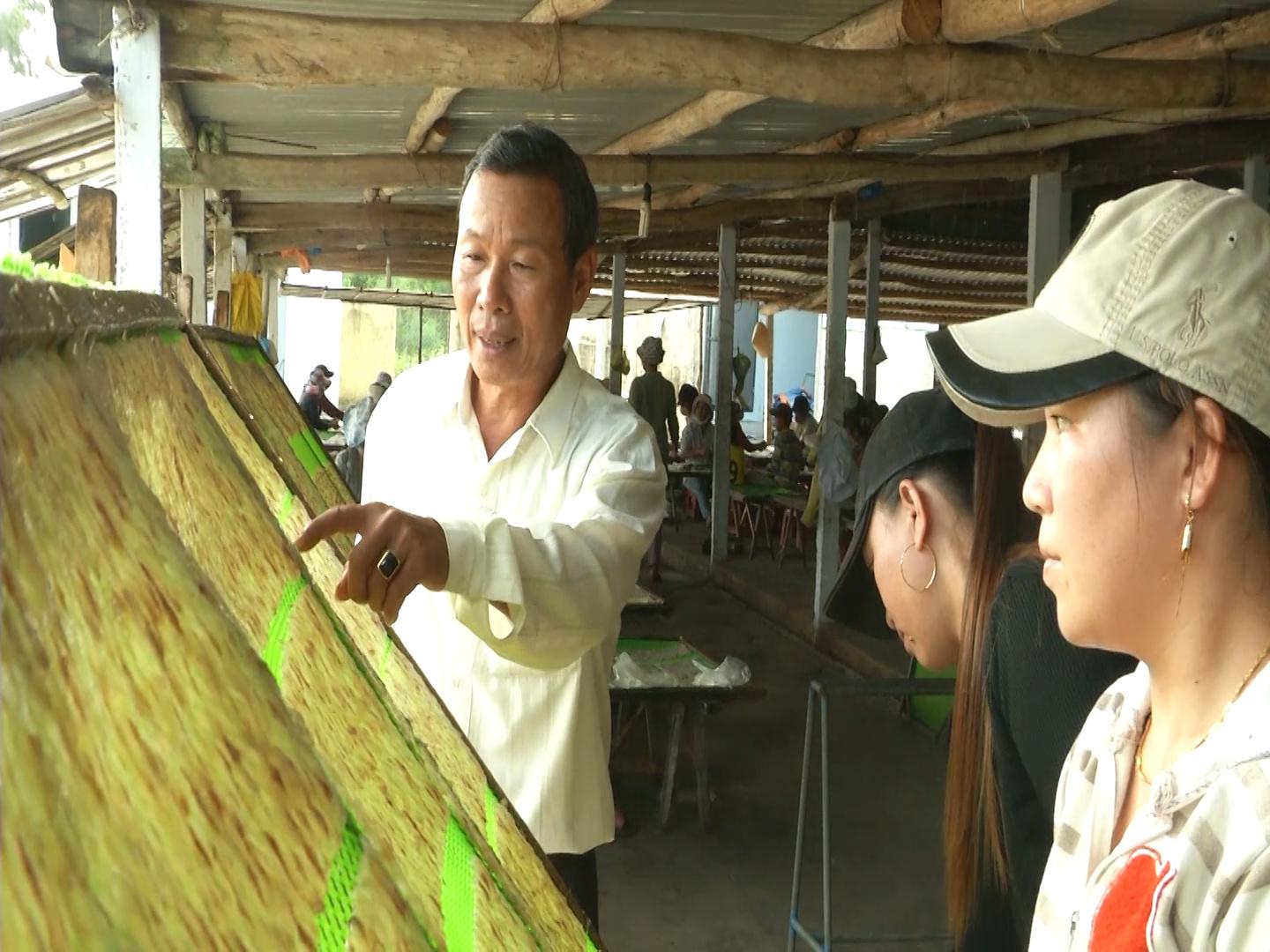 Vượt khó làm giàu trên quê hương