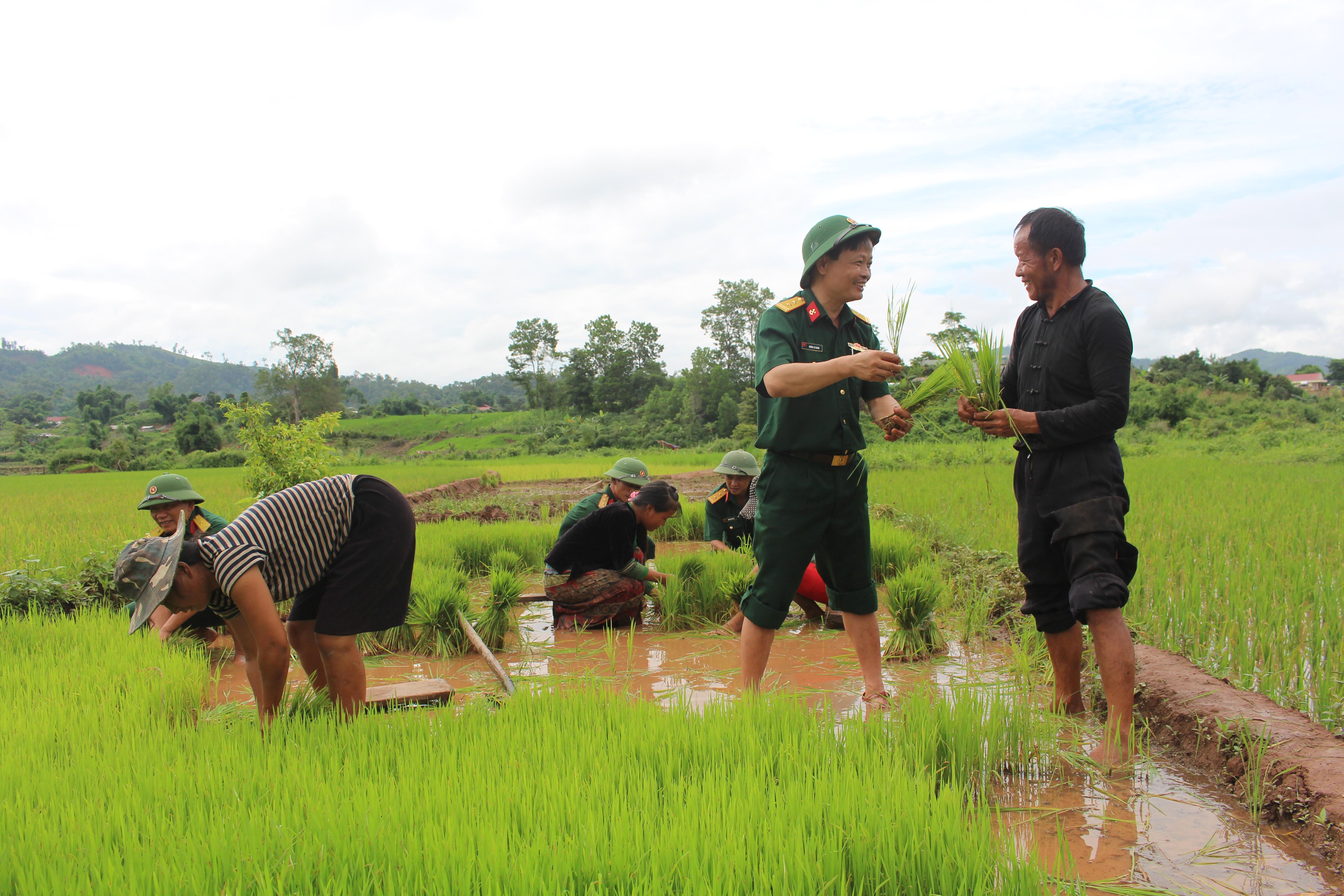 Bộ đội “4 cùng” giúp dân về bản mới