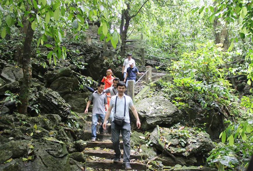 Nắng sớm Cúc Phương