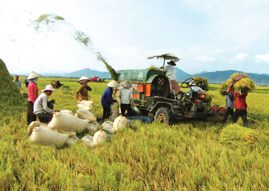 ĐỘNG LỰC MỚI CHO HỢP TÁC XÃ
