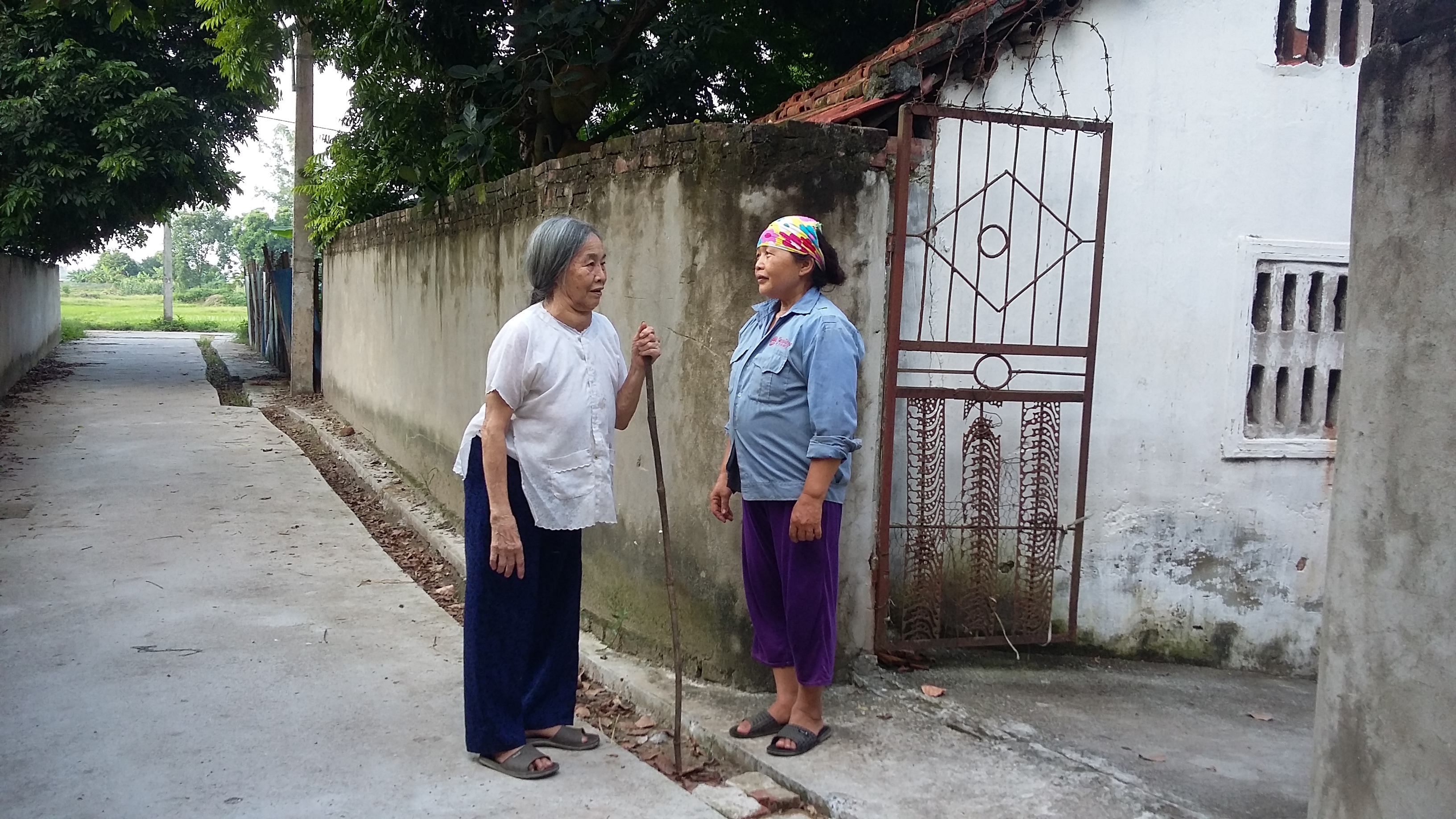 Nữ đảng viên hai lần hiến đất làm đường
