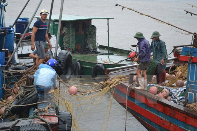 Ứng phó với bão số 1: Nam Định thực hiện cấm biển, nghiêm cấm tàu thuyền ra khơi 