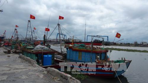 Công điện của Thủ tướng Chính phủ về việc chủ động ứng phó với cơn bão số 1