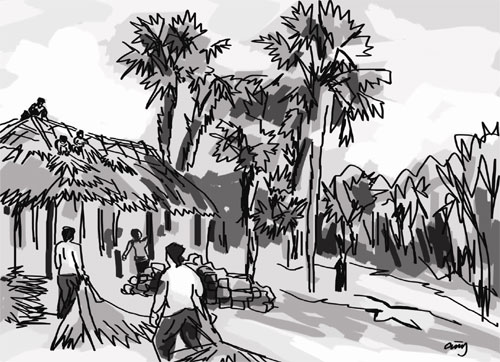 Xênh xang mái cọ               
