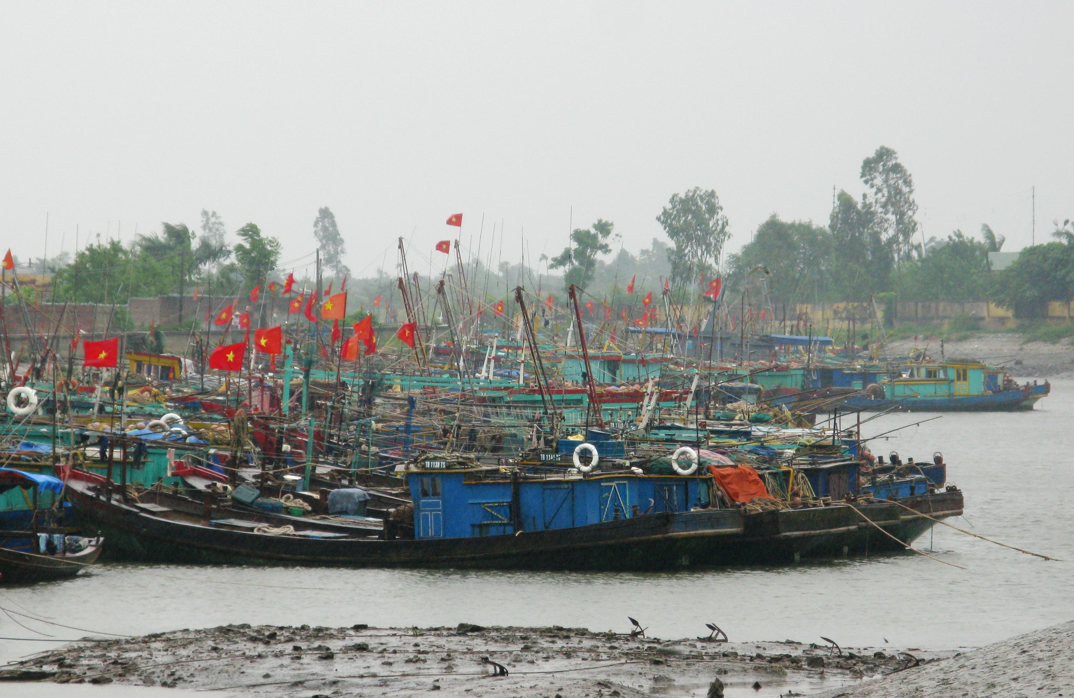 Chủ động chống bão
