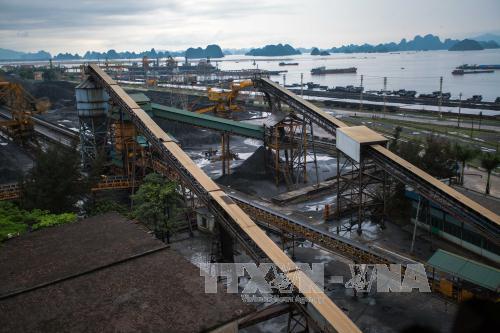 Bảo vệ môi trường - Cần hành động tức thời, quyết liệt
