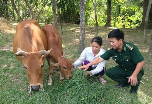 Bộ đội Thông “dân vận khéo”
