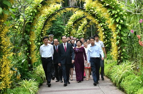 Con sư tử trỗi mình từ sóng biển
