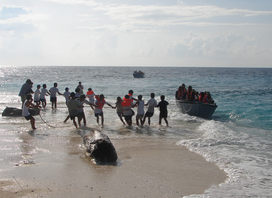 Thương nhớ Trường Sa
