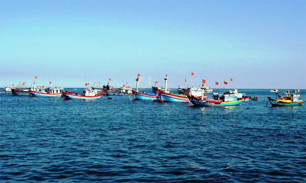 Bình Thuận còn 2.557 tàu thuyền đang hoạt động trên biển 