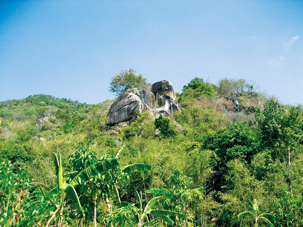 Đội K93 phát hiện, quy tập thêm 28 hài cốt liệt sĩ khu vực Bảy Núi
