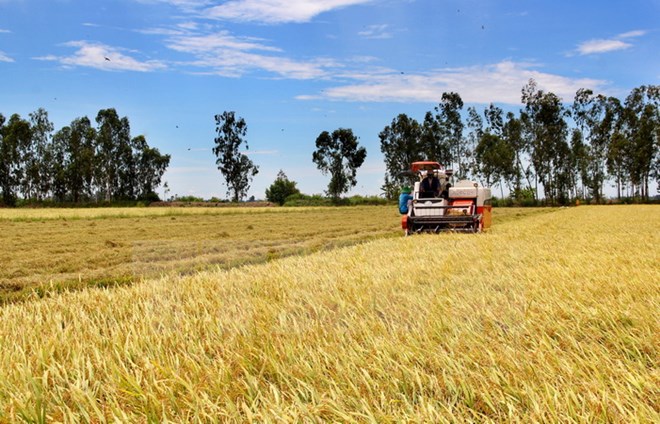 GIỮ ĐẤT TRỒNG LÚA