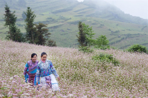 PHÁT HUY GIÁ TRỊ LỄ HỘI 