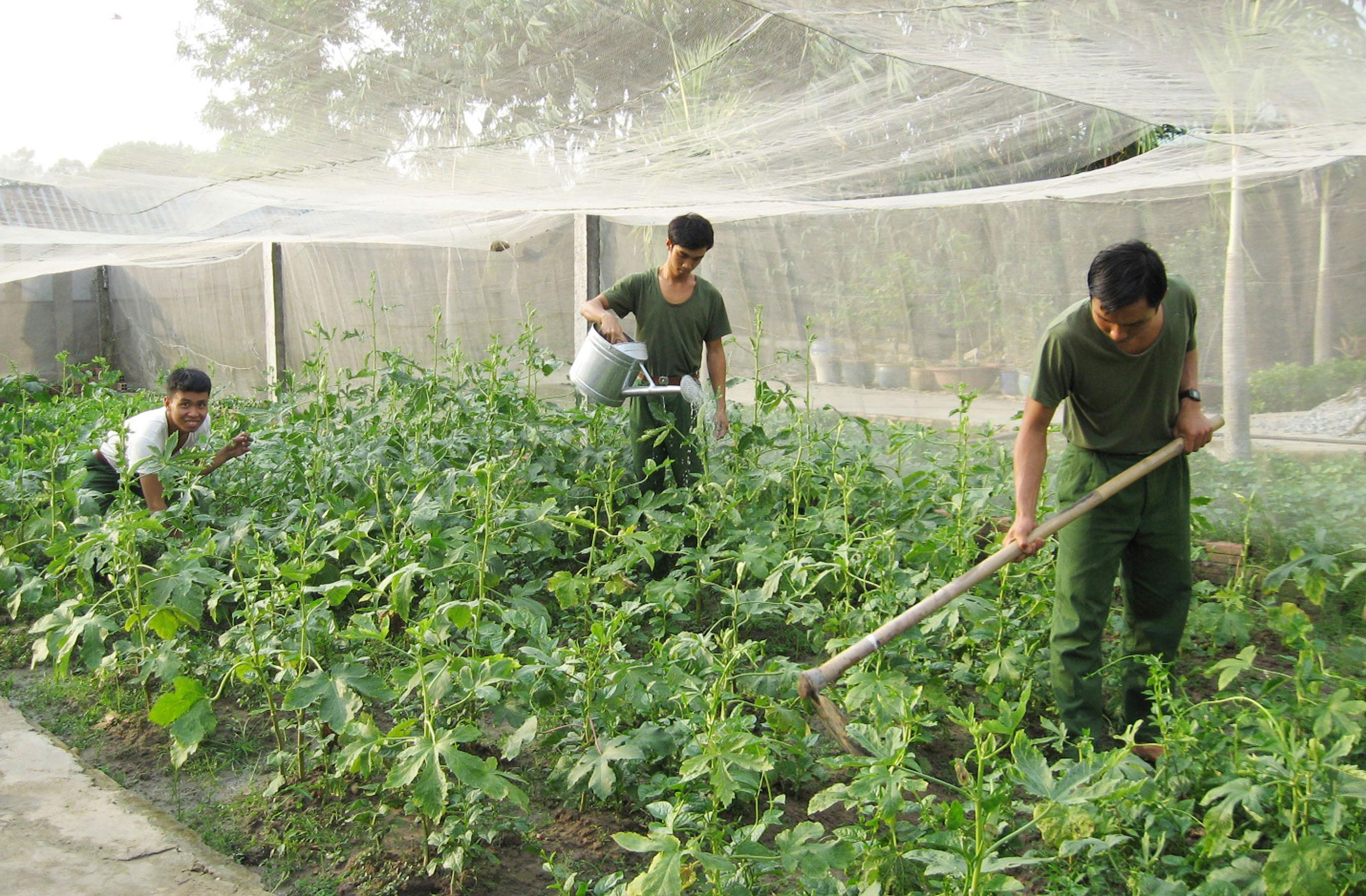 Bữa ăn ngon của quân dự bị
