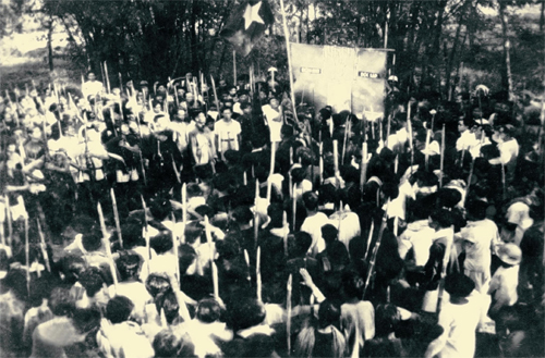 NGỌN TẦM VÔNG BẤT KHUẤT