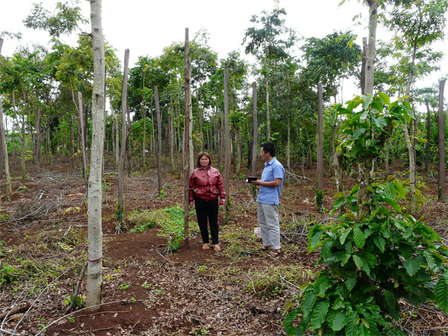 Sớm làm rõ hành vi tiếp tay chuyển quyền sử dụng đất trái pháp luật