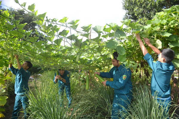 Sỏi đá... hóa rau
