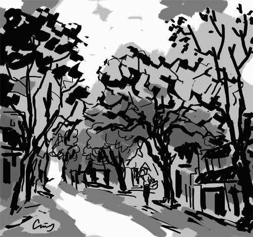 Chuyện ở phố bàng
