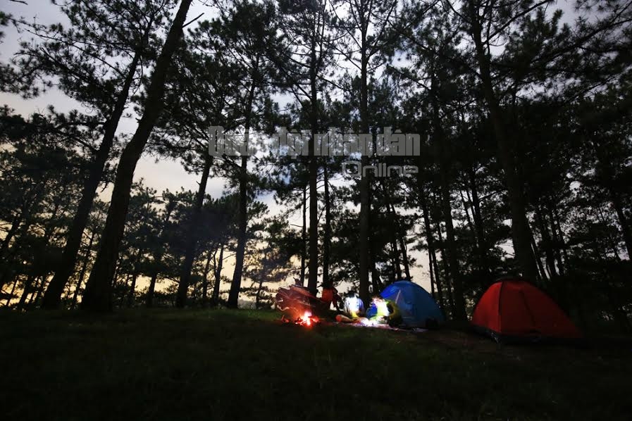 Cắm trại đêm trên đồi thông là một trải nghiệm tuyệt vời đối với những ai yêu thiên nhiên.