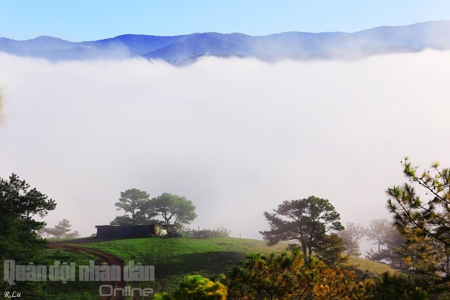 Tới Đà Lạt, du khách sẽ bắt gặp nhiều hình ảnh ngôi nhà nhỏ trên thảo nguyên.