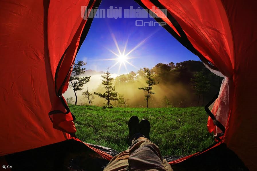 Thức dậy ở một nơi xa và tận hưởng buổi sáng trong lành trên đồi thông mang đến cho du khách sự mới mẻ, tự do và hòa mình với thiên nhiên.