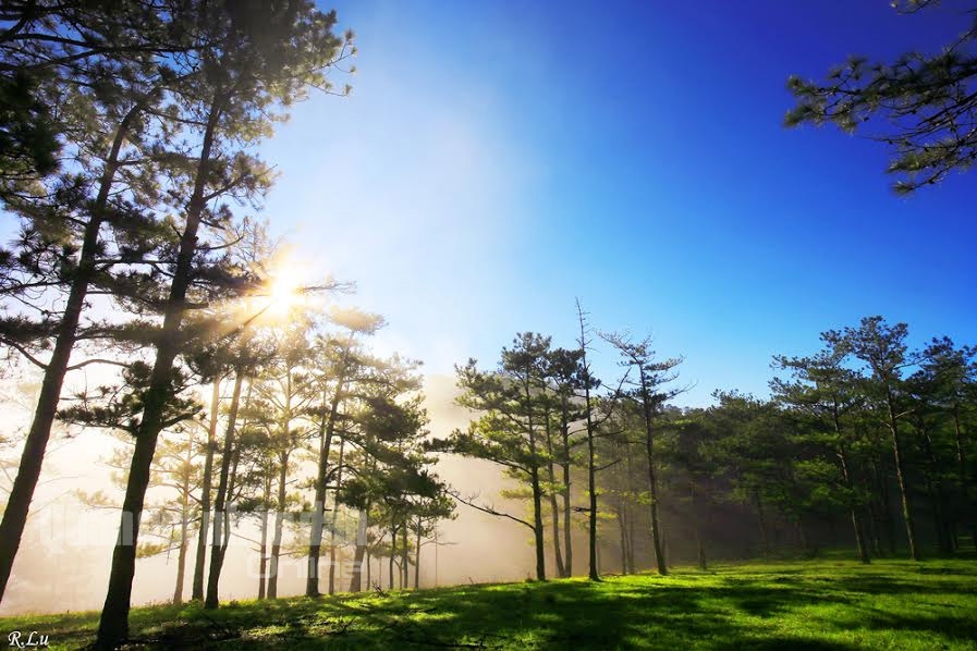Mặt trời “đuổi” sương mù bay đi, vén cho chúng ta thấy một Đà Lạt trong lành và xanh mướt.