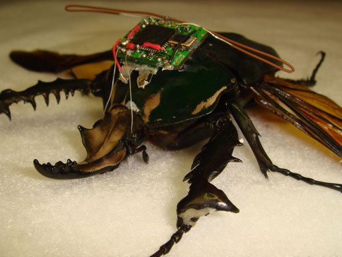 Bài 2: Thành tựu mới về công nghệ sinh học quân sự