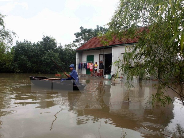 Bình Định, Thái Bình chủ động ứng phó với bão số 7