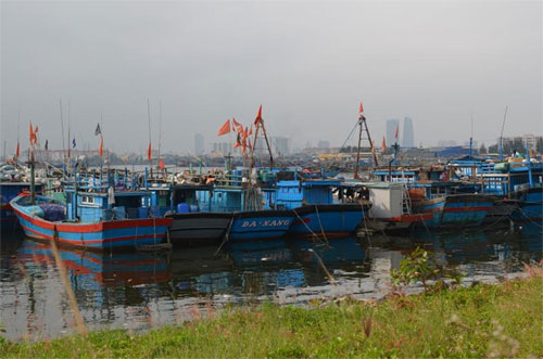 Các tỉnh miền Trung thông báo cho hơn 36.300 tàu, thuyền chủ động phòng tránh bão số 7