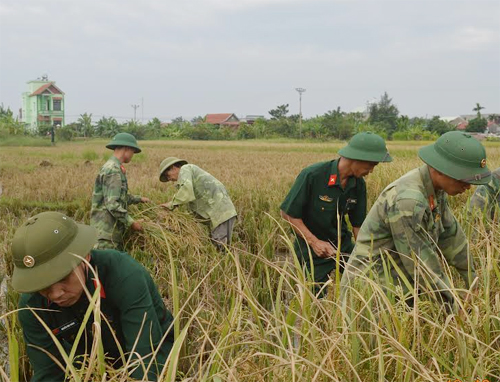 Sát cánh cùng nhân dân chạy đua với bão số 7
