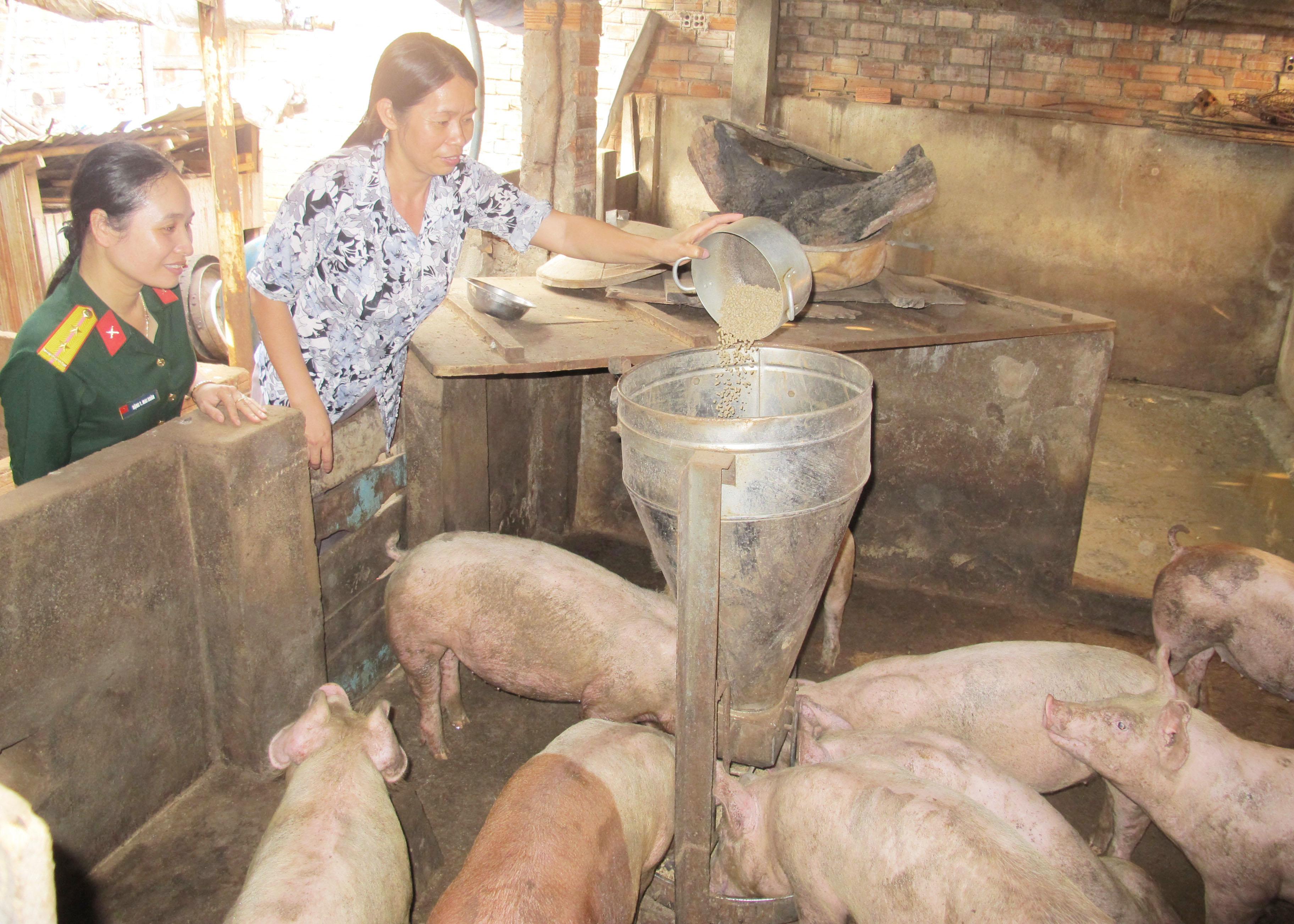 Nhân rộng mô hình giúp hội viên nghèo vượt khó