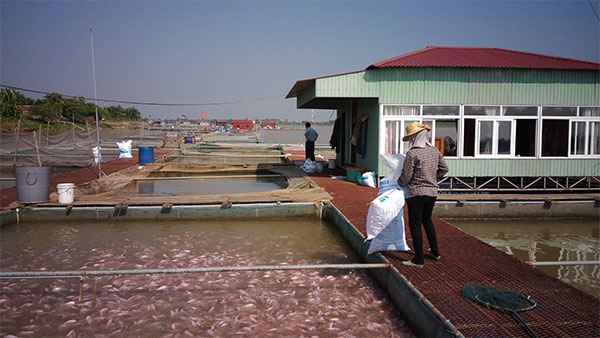 Nam Tân - đất lên hương …
