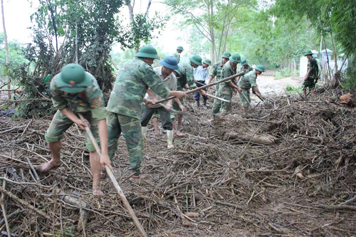 Hơn 300 cán bộ, chiến sĩ giúp dân thu hoạch hoa màu sau mưa lũ