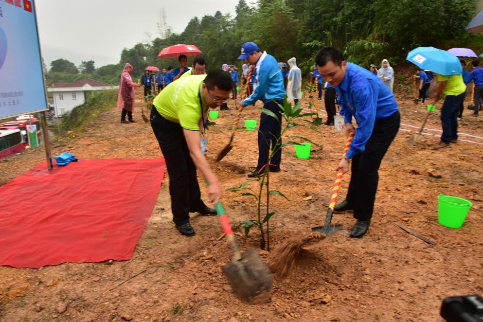Thanh niên Việt Nam - Trung Quốc trồng cây hữu nghị tại Lào Cai