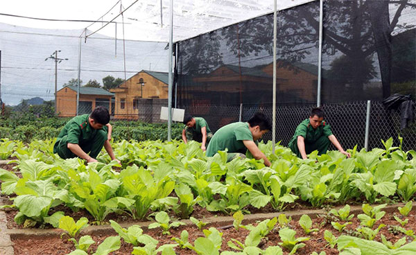 Điểm sáng tăng gia nơi vùng biên
