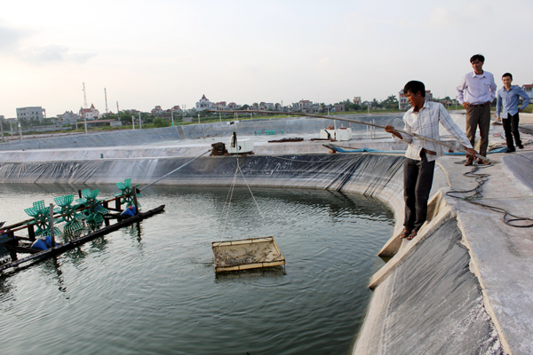 Diêm dân Hải Hậu tìm hướng đi mới