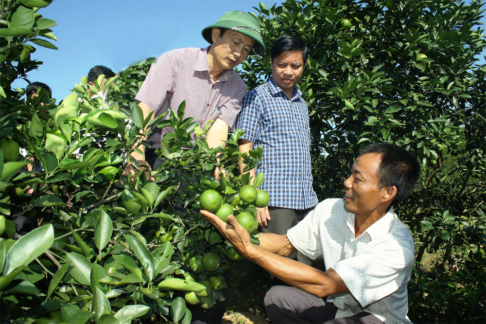 Để người dân thực sự phát huy vai trò chủ rừng