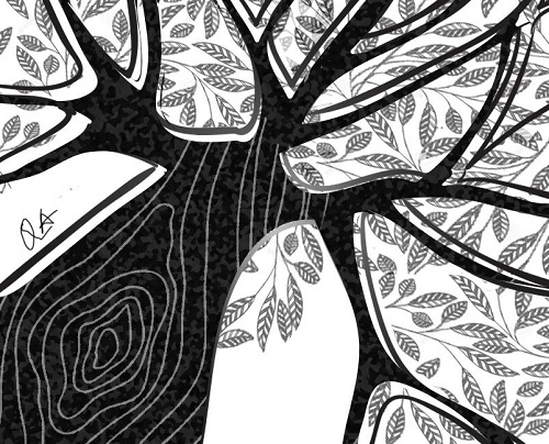 Cây xà cừ đứng đó