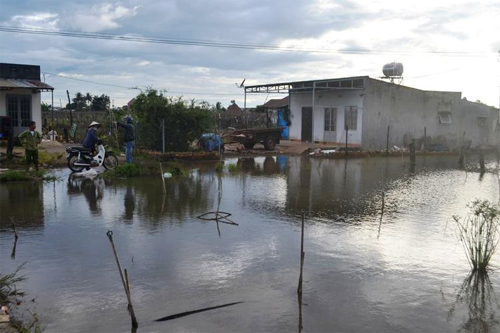 Thông tin từ đường dây nóng
