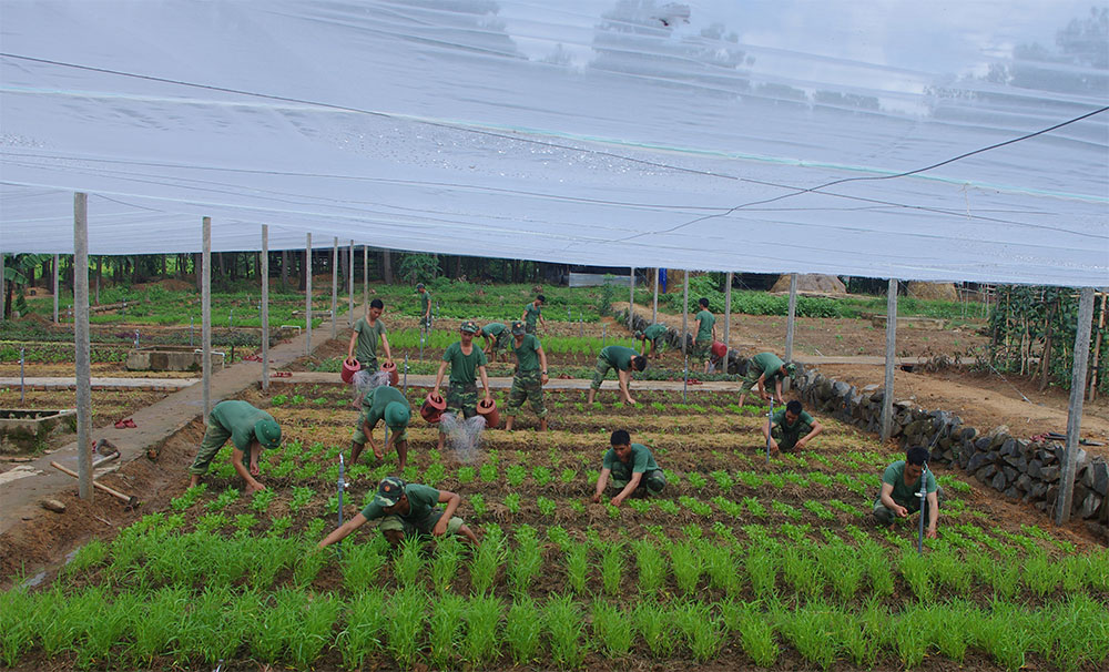 Tăng gia gắn với bảo vệ môi trường
