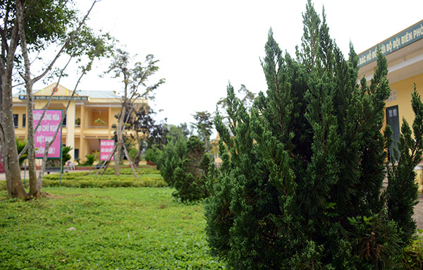 Với nhiều loại cây xanh đẹp mắt cùng các loại hoa đua nhau khoe sắc.