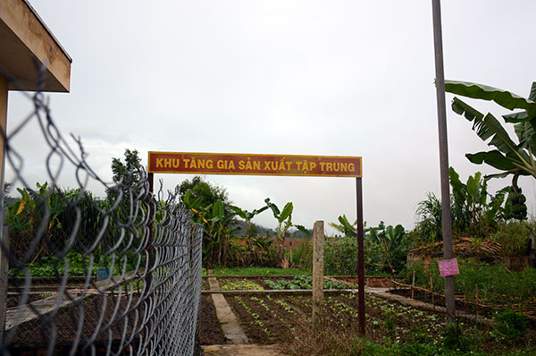 Khu vực tăng gia sản xuất của Đồn Biên phòng Cửa khẩu Quốc tế Bờ Y...