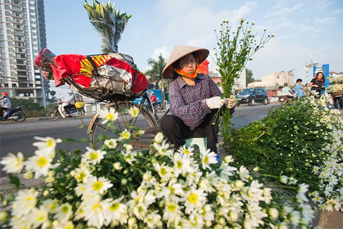 Người mang hoa về phố