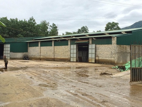 Thông tin từ đường dây nóng