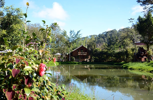 Ngoài ra, Đà Lạt còn có rất nhiều khu du lịch với cảnh quan vô cùng đẹp mắt.