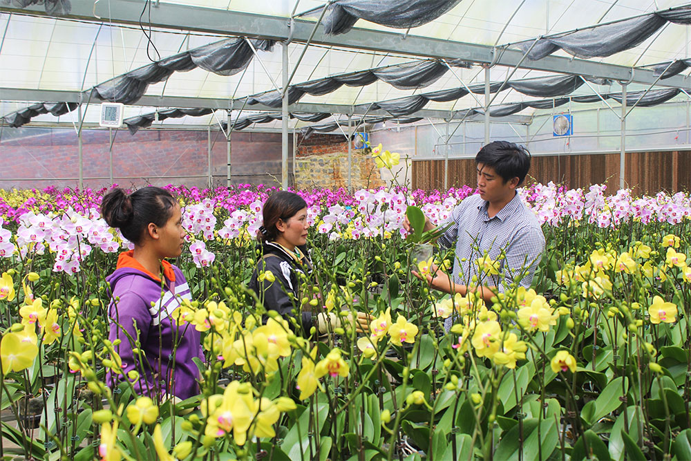Chàng trai “hóa thân” vào những cánh hoa
